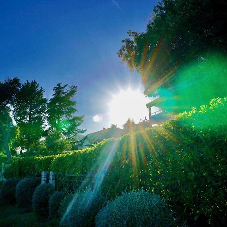 La vida loca Villa Seget Vranjica Exterior foto