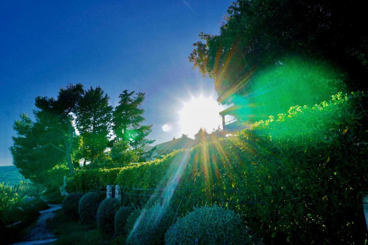 La vida loca Villa Seget Vranjica Exterior foto